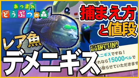 【あつ森】レア魚デメニギスの出現時間と場所・魚影・値段・解説・飾る【あつまれどうぶつの森animalcrossing】釣り方捕まえ方