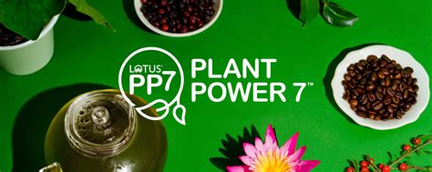 Plant Power 7 - Ingredients and Benefits – Lotus Plant Power