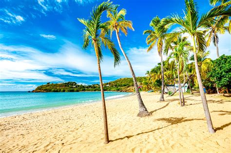 top   snorkeling islands   caribbean sandals
