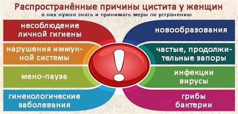 Цистит у женщин - причины, симптомы, профилактика и лечение