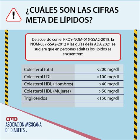 ¿cómo Afectan Los Niveles Altos De Triglicéridos Y Colesterol A La Diabetes