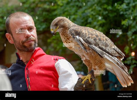 Medieval Falconry Hi Res Stock Photography And Images Alamy