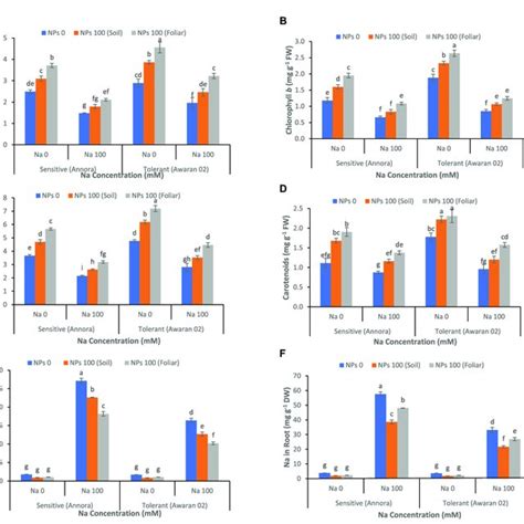 Effects Of Different Concentrations Of Nacl And Mm And Zno Nps