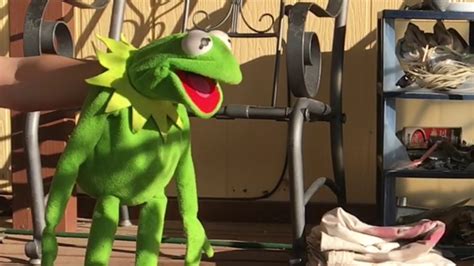 Kermit Does JACK ASS YouTube