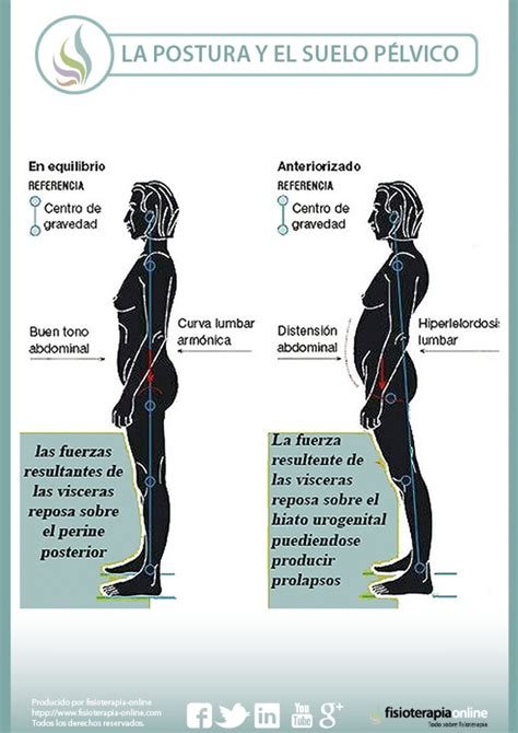 La Postura Y El Suelo P Lvico Femenino Est N Ntimamente Relacionados