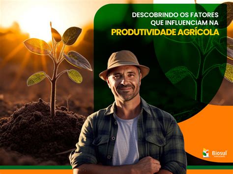 Quais São Os Fatores Externos Que Influenciam A Agricultura - Descobrindo os Fatores que Influenciam na Produtividade Agrícola ...