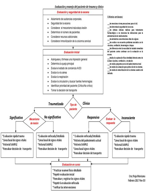 Diagrama De Flujo Evaluación Y Manejo Del Paciente De Trauma Y Clínico
