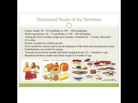 Nutritional Needs For Infants 0 12 Months - Nutrition Pics
