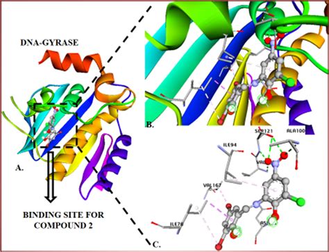 The binding modes and molecular interactions of hit H2L² 2 at the