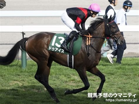 札幌2歳s2着のドゥアイズは阪神jfへ直行｜競馬ニュース｜競馬予想のウマニティ