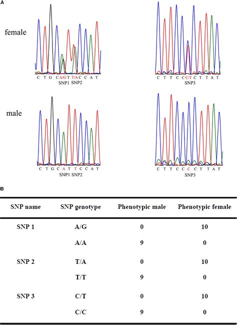 Frontiers Identification Of Sex Specific Markers Through 2b Rad