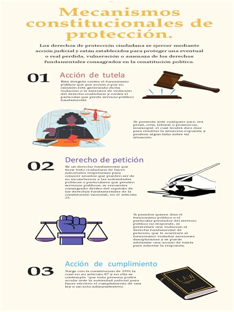 Infografía Sobre Los Mecanismos Constitucionales De Protección Ga2