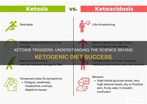 ketosis triggers understanding  science  ketogenic diet