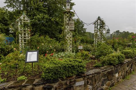 Flowering Bridge In Lure Lake North Carolina Usa Editorial Image