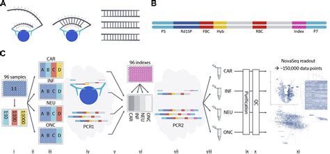 proximity extension assay  combination   generation