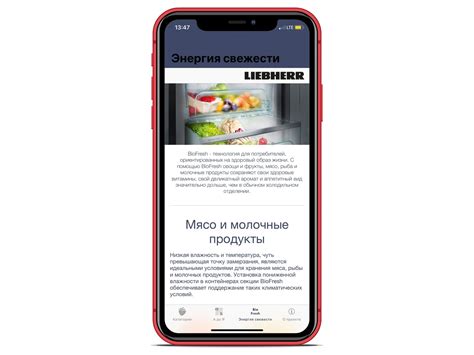 Секция BioFresh – долгое сохранение свежести продуктов