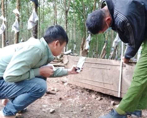 Gay C N Vi C X C L P Quy N S H U To N D N V I Kh C G D N O D I L Ng T