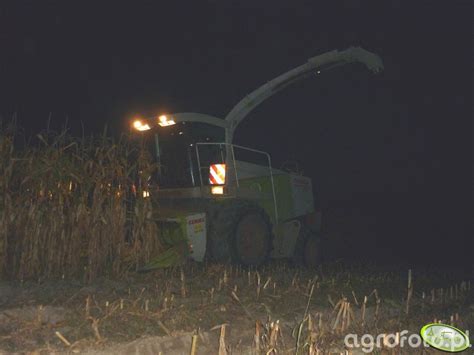 Claas Jaguar Fotka Sieczkarni Samobie Nej Id Galeria