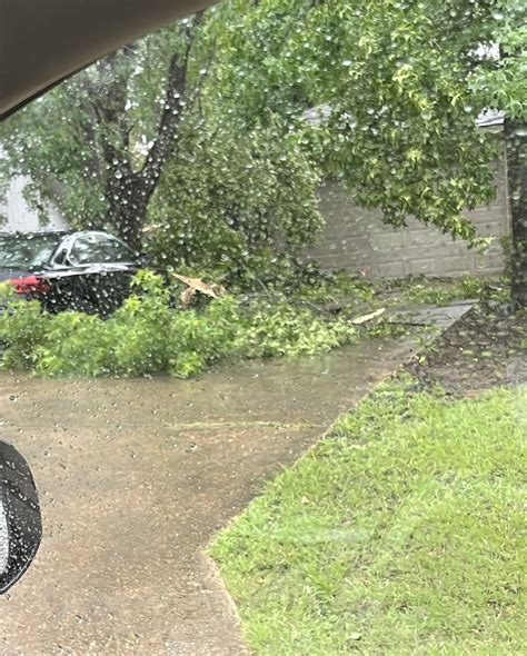 kalb news 6