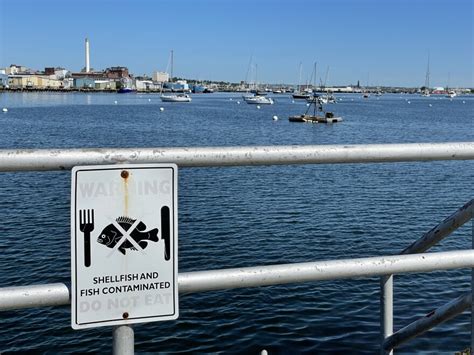 New Bedfords Harbor Is A Billion Dollars Cleaner But Long Term