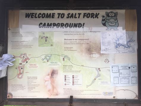 Salt Fork State Park Camping | The Dyrt