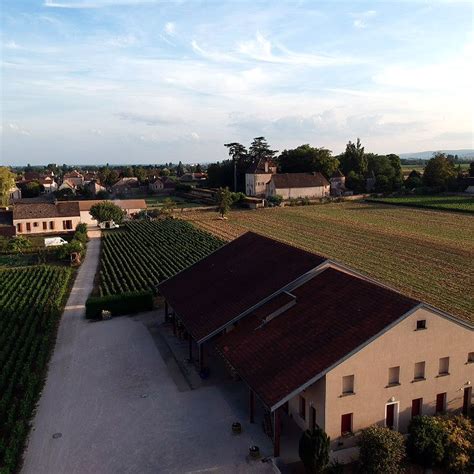 Savigny Les Beaune Domaine François Gay Fils 1er Cru Les Serpentières 2019