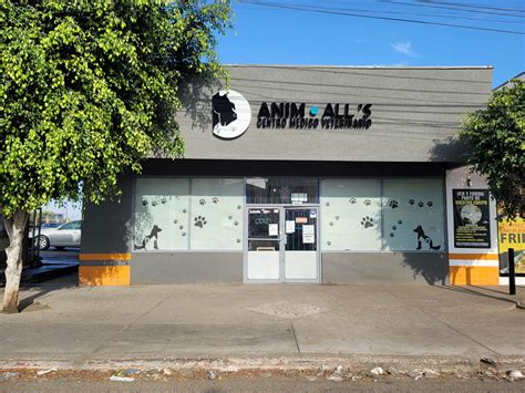 animal medical center itasca 4