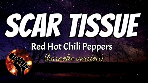 SCAR TISSUE RED HOT CHILI PEPPERS Karaoke Version YouTube