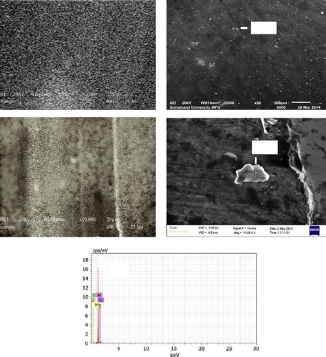 Sem Micrograph Of A Az31b Mg Alloy B Az31b 3 Sic Composite C