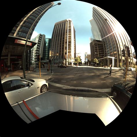 Dome video capture using the LadyBug cameras