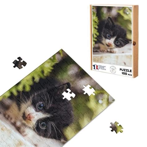 Puzzle Classique 100 pièces Chaton Noir et Blanc Yeux Bleus En