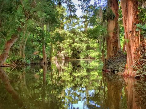 Living in and eustis florida offers a surprising small-town charm 16