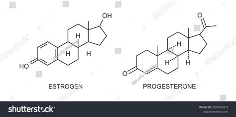 Estrogen Progesterone Icons Female Reproductive Sex Stock Vector