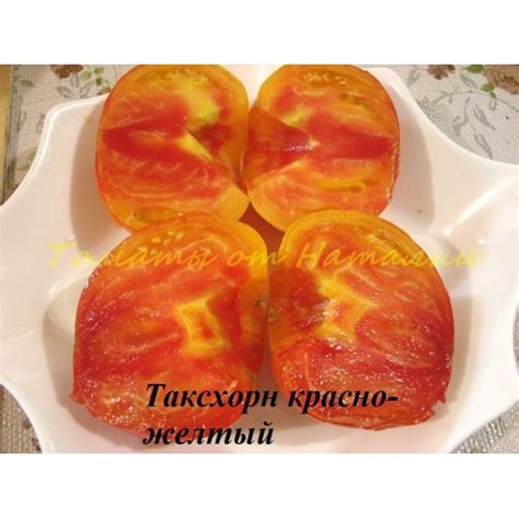 Таксхорн красно-желтый (Tuxhorn’s Red and Yellow, США)