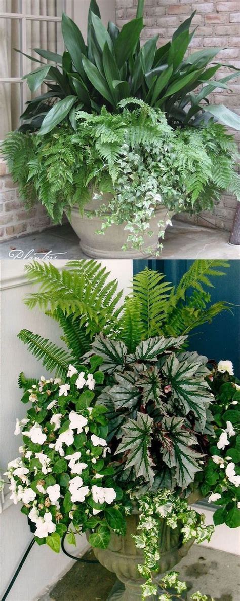 How To Create Beautiful Shade Garden Pots Using Easy To Grow Plants