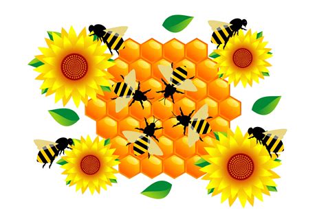 Honey Bee And Sunflower Graphic By Edywiyonopp Creative Fabrica