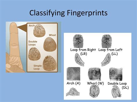 Ppt Fingerprints Powerpoint Presentation Free Download Id2639239