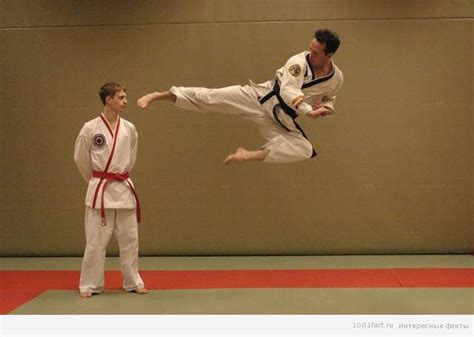 Факты о тхэквондо | Интересные Факты