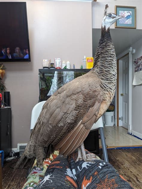 @archi-pelago on Tumblr