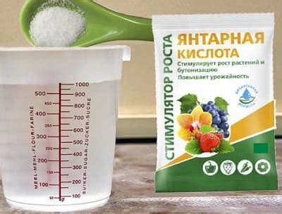 Янтарная кислота для рассады томатов | Как Сделать Своими Руками