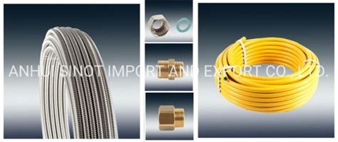 Aisi L Naked Flexible Extensible Gas Hose