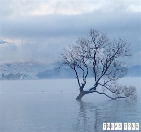 5 hours of Snow - Wanaka in Winter Wonderland