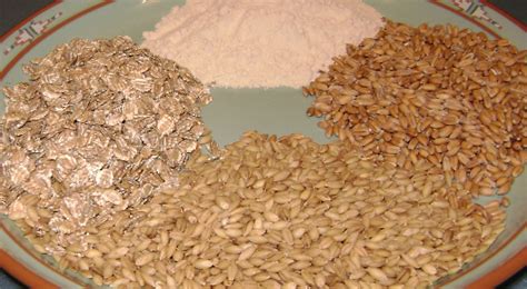 Gluten - Wikipedia
