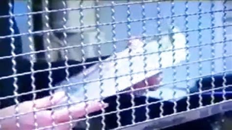 Brasileira Bronzeada Chupa Rola Porn