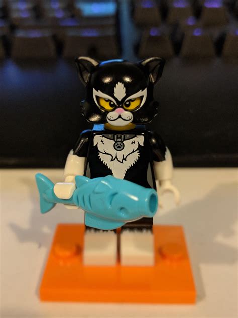 The Only Pussy I Ll See Tonight R Lego