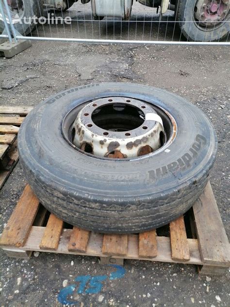 Cordiant Cordiant professional 295/80R22,5 wheel for sale Estonia ...