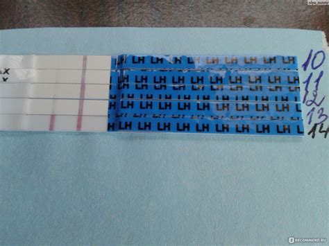 Тест на овуляцию ООО "Клевер" Я родился - «Тесты супер!!!!!!» | отзывы