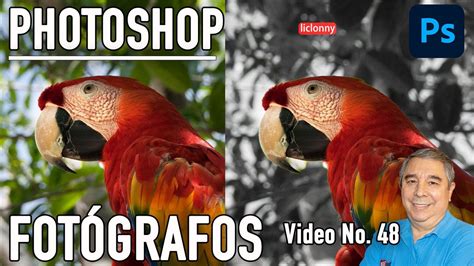 Photoshop Para Fot Grafos Tutorial C Mo Hacer Una Selecci N Con El