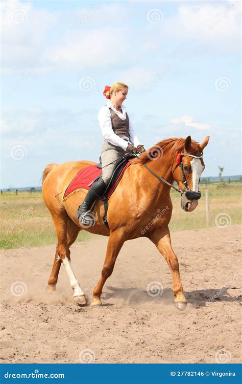 Beautiful Young Blonde Woman Riding Chestnut Horse Royalty Free Stock