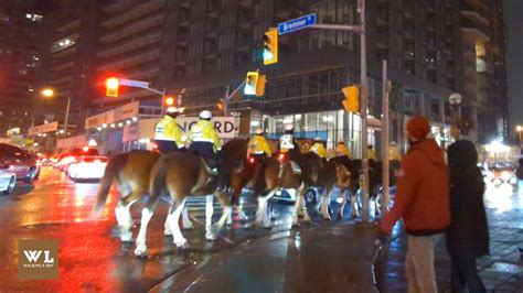 New Years Eve 2024 Toronto Mounted Police Patrol The Streets 🇨🇦 Youtube